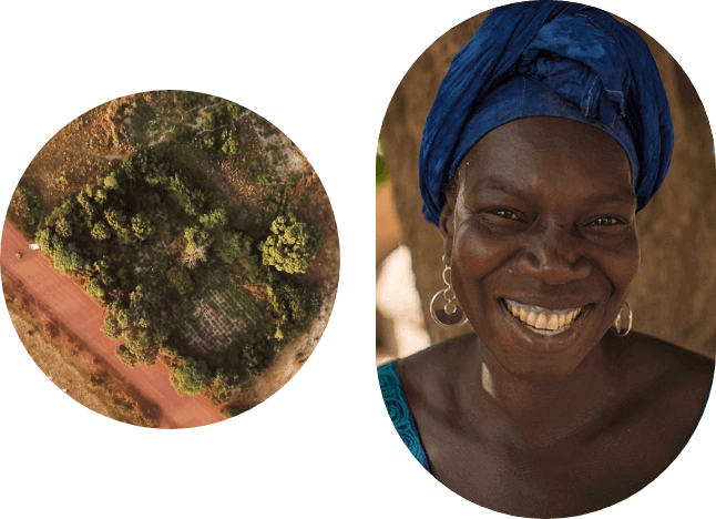 trees for the future volunteer and field (1)